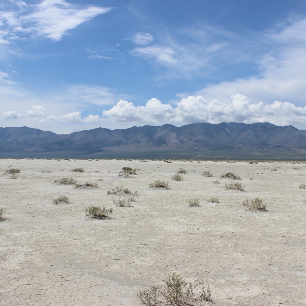 160 Acres Box Elder COunty